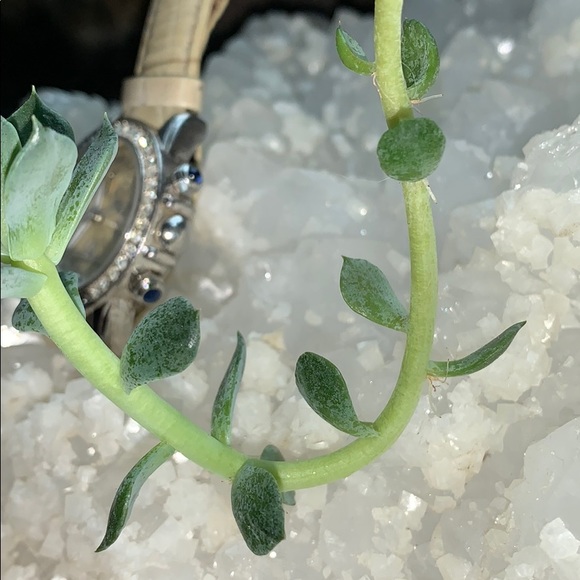 Jennifer Lopez JLO Strap Watch 4 Dial 2nd Hand Luv - Picture 6 of 8